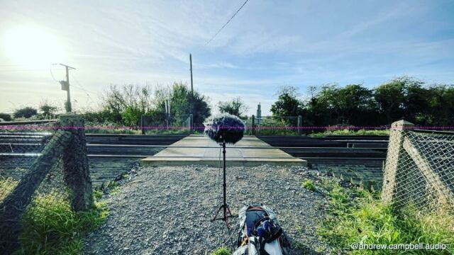 Not my usual kind of recording but my early morning walk in the marshes took me over this pedestrian railway crossing, so naturally I set up and waited for the next train to pass. #fieldrecording #mkh8040 #ortf #train #hs1 #mixpre6 #cinelaalbert #eltrenfantasma