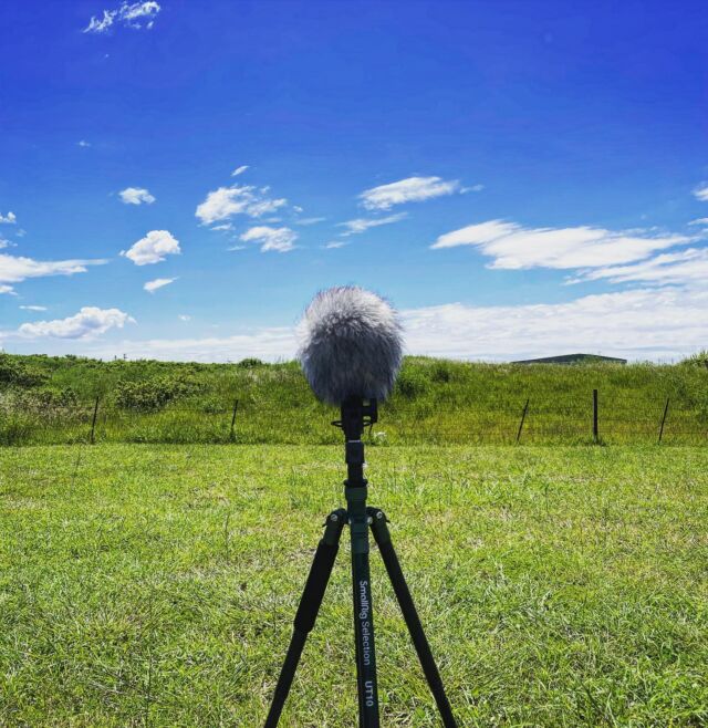 #ambisonic end-of-runway #fieldrecording today. Overheads and passbys of GA #biplanes and other light aircraft (@sennheiser #ambeovrmic with @rycoteuk #bbg into @sounddevices #mixpre6ii)

#australia #queensland #brisbane #archerfield #archerfieldairport #generalaviation #soundrecording #immersive #immersiveaudio